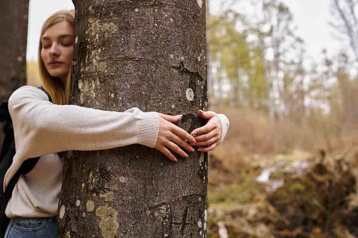 Cosa significa adottare un albero