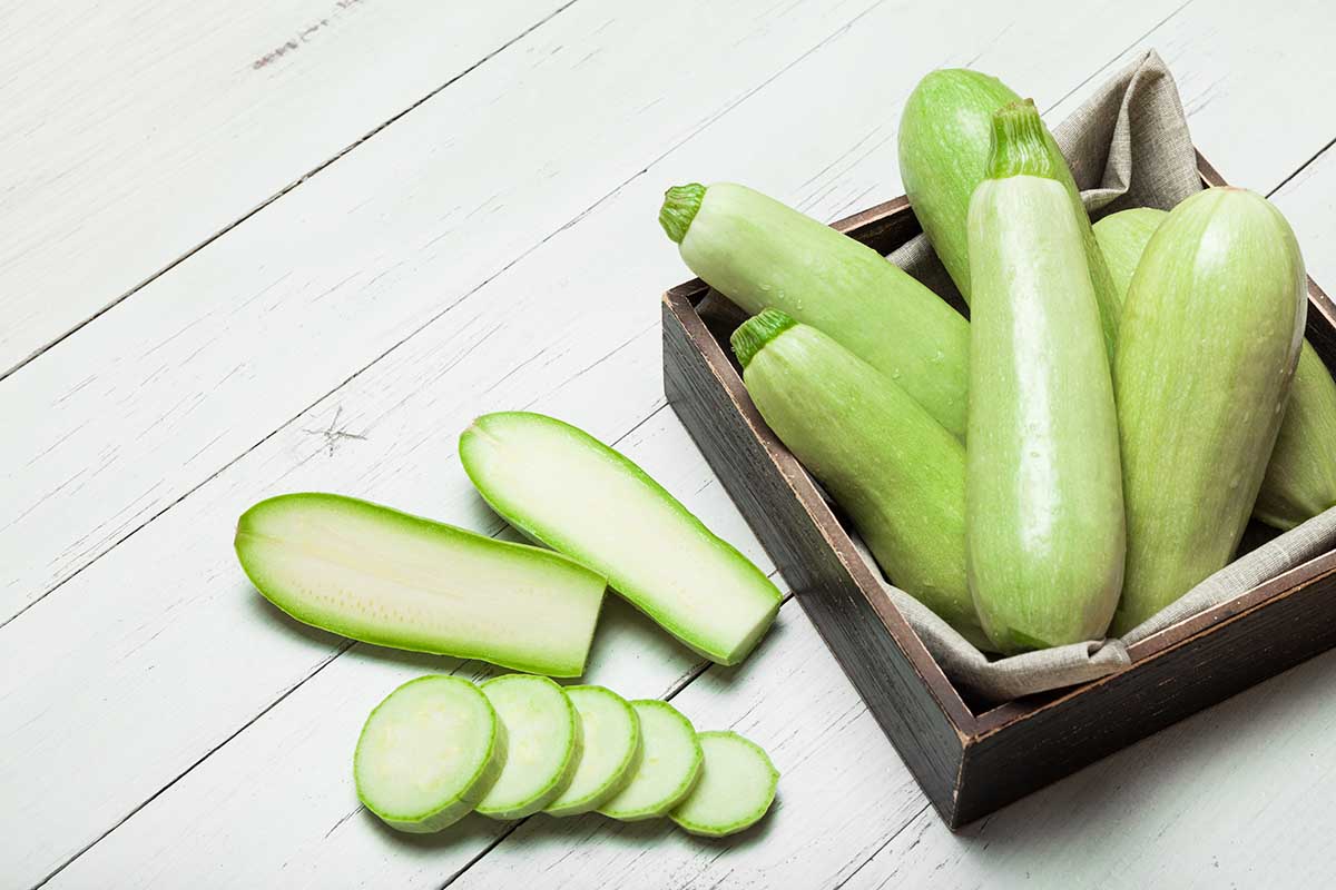 I cani possono mangiare le zucchine?