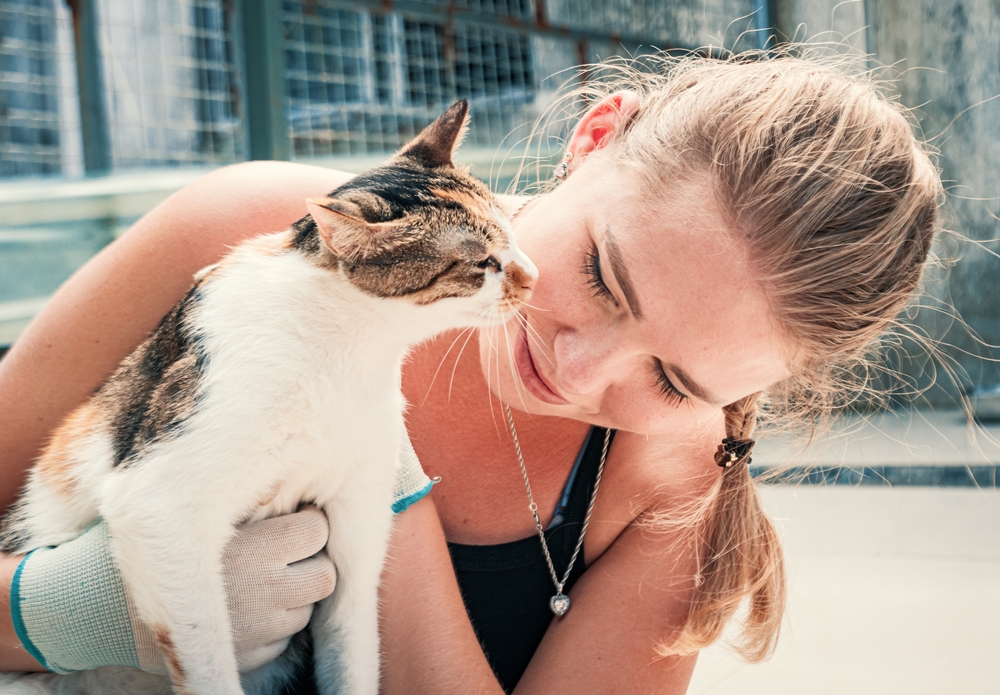 Come prepararsi ad adottare un gattino