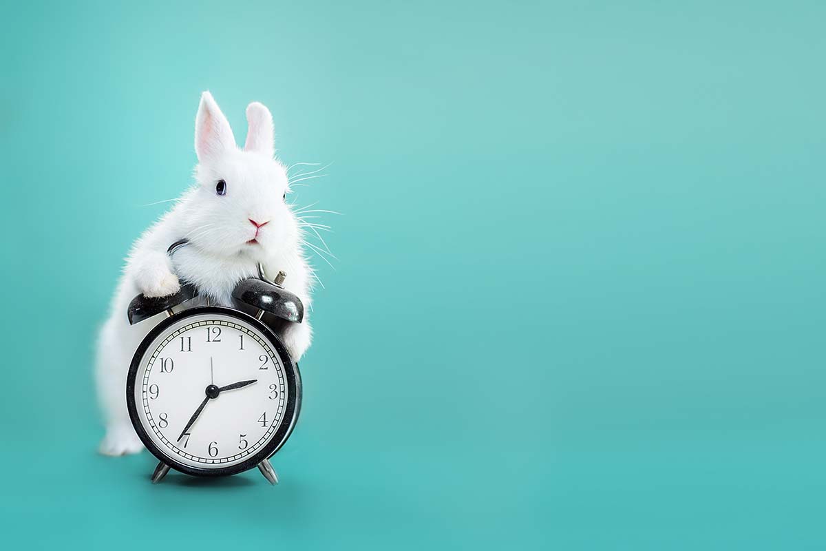 Ansia del tempo che vola: cos'è la sindrome del Bianconiglio