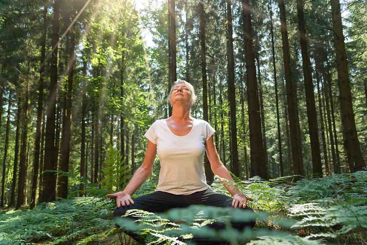Tutti i benefici del Forest bathing