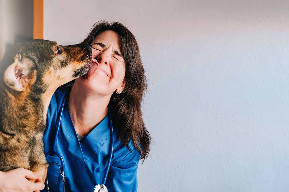 Come celebrare la Giornata Mondiale del cane