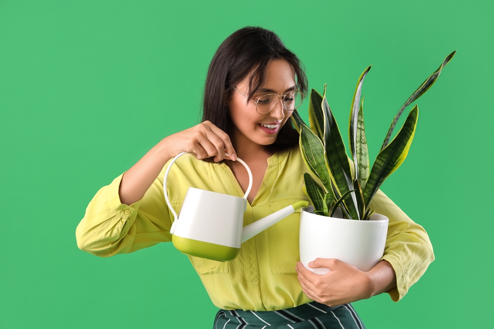 7 errori da evitare per non fare appassire le piante