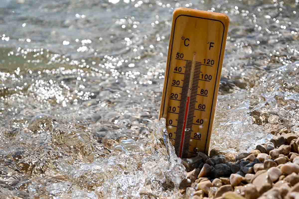 Quali sono le conseguenze del riscaldamento degli oceani?