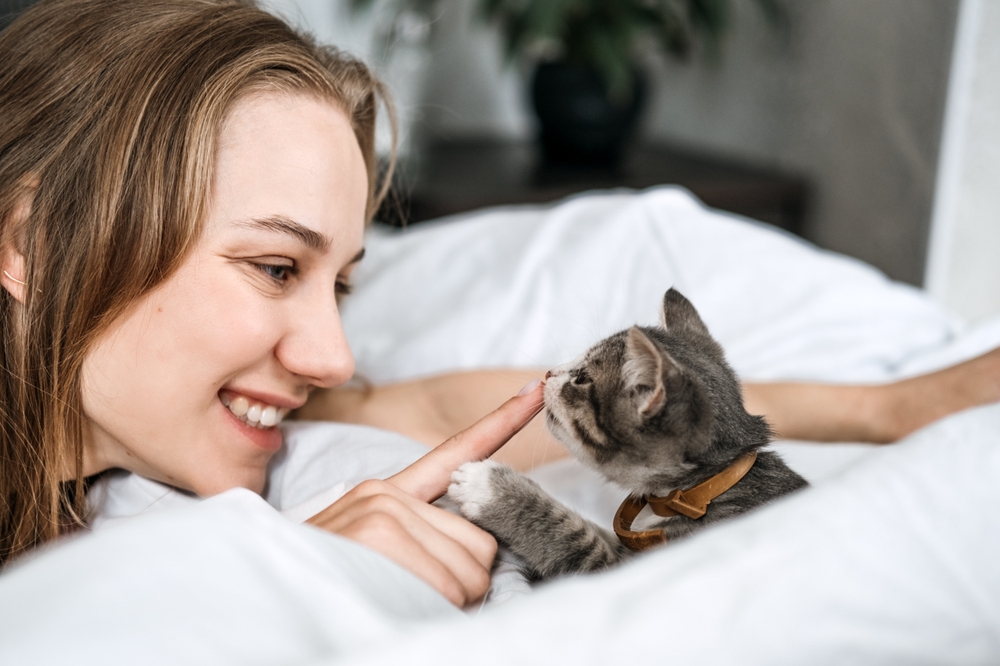 È meglio adottare un gatto alla volta o in coppia?