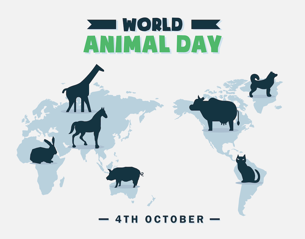 Giornata mondiale degli animali: 5 buone pratiche per sostenerli e farli stare bene