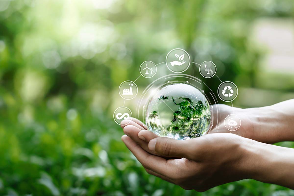 Cos'è la transizione ecologica