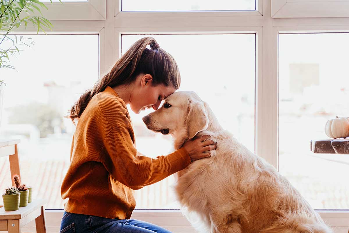 Psicoterapia con la dog therapy: come funziona?
