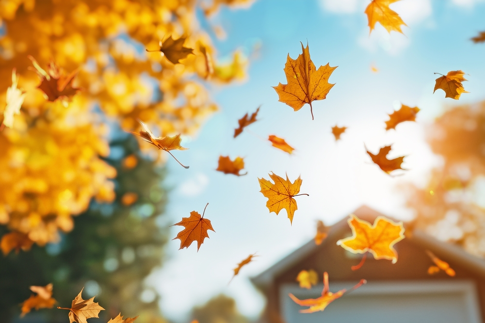 Frasi sull'autunno tratte da canzoni