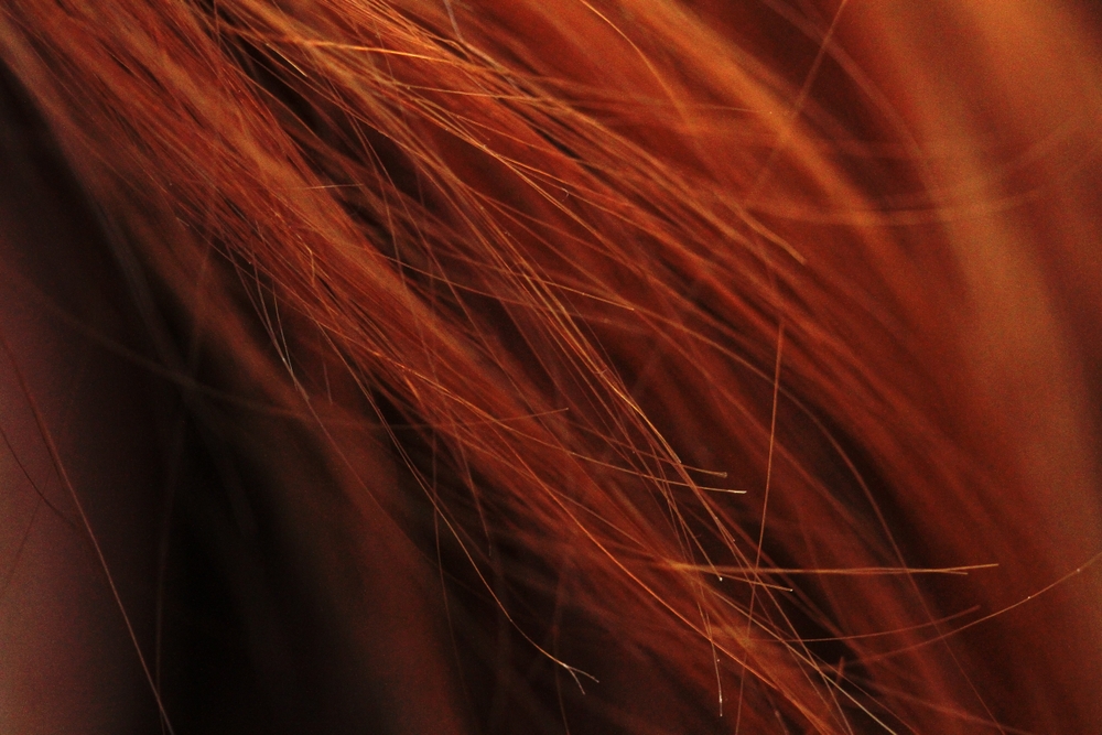 Fox Red Hair: il colore autunnale che vogliono tutte