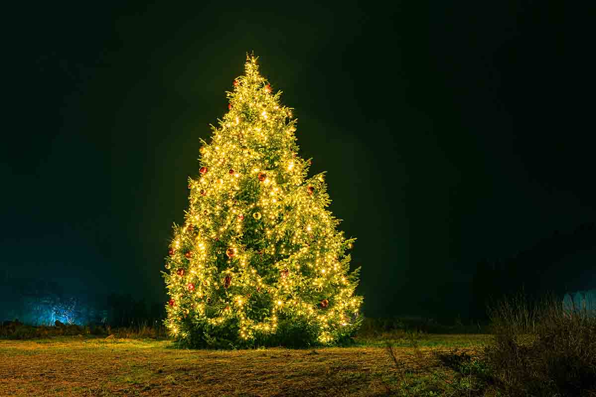 Quando e dove si fa l'albero di Natale nel mondo?