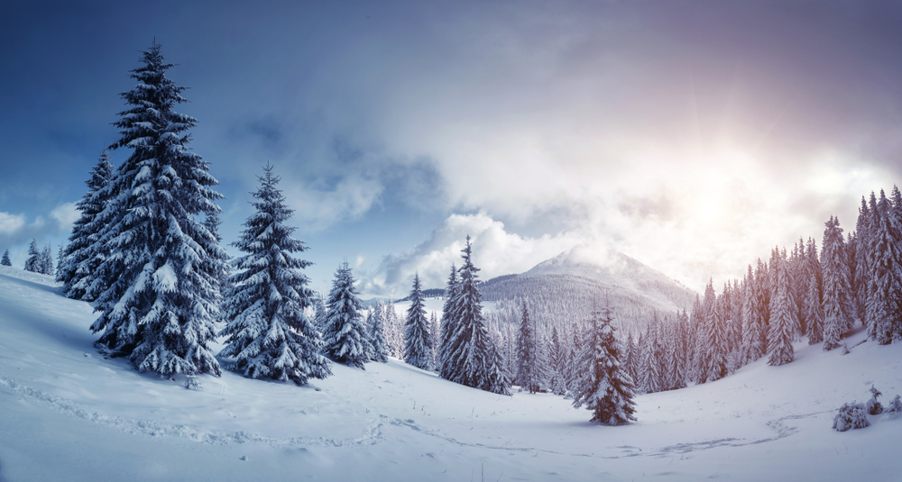 Giornata mondiale della neve: 7 frasi a tema