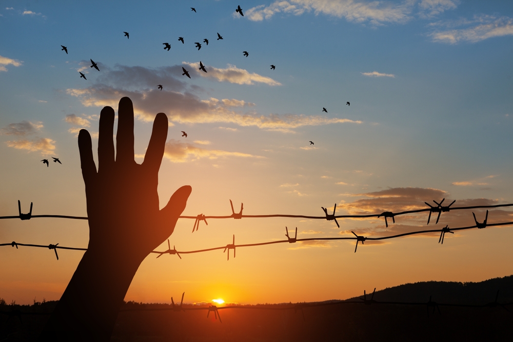 Frasi sulla Shoah: 5 citazioni per il 27 gennaio