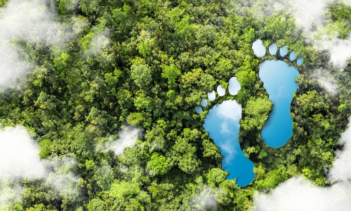 Come ridurre l'impronta ecologica