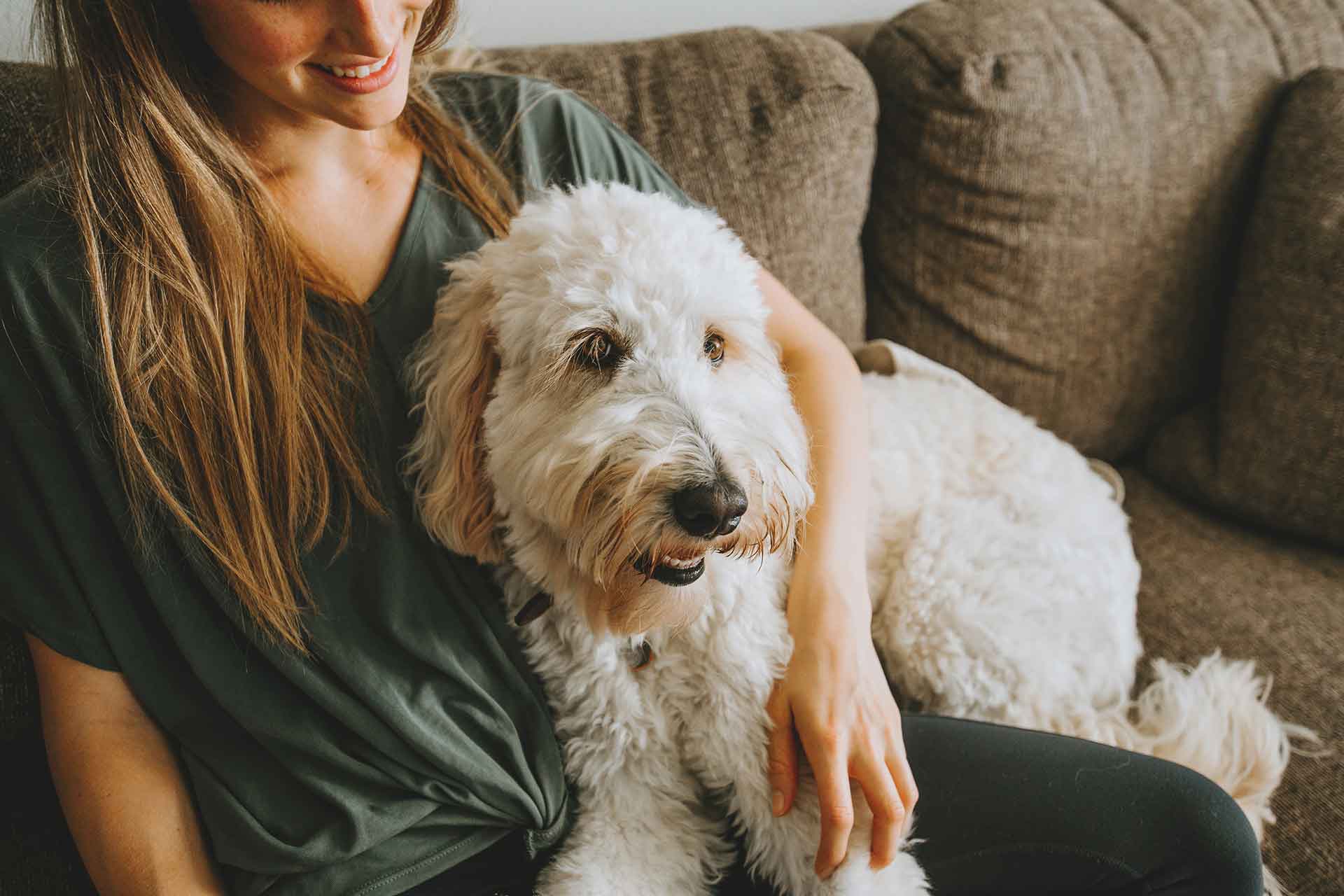 Come si diventa pet sitter